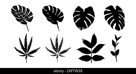 Conjunto de siluetas negras de varias hojas sobre fondo blanco. Hojas forestales y tropicales. Blanco y negro. Ilustración vectorial. Ilustración del Vector