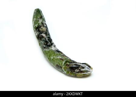 Una imagen de un pepino podrido embalado en la lámina de plástico. La lámina es inútil, solo daña la verdura y solo se mohosa. Foto de stock