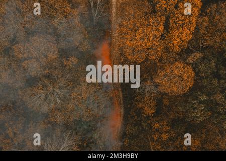 Las hojas secas arden en el bosque de otoño. Peligro de incendio forestal. Dry Grass incendia los árboles cerca de DRY Forest: Forest Fires - Aerial drone shot. Wildfire: Fuego con humo desde la altura de un vuelo de pájaro. Foto de stock