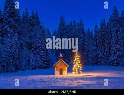 Beleuchteter Christbaum vor einer Kapelle im Winter, Bayern, Oberbayern, Deutschland, Europa iluminado árbol de Navidad en frente de una capilla en winte Foto de stock