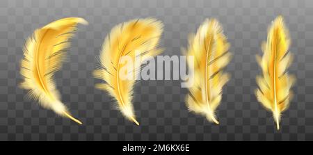 Conjunto de plumas doradas vector siluetas de plumas doradas sobre fondo  negro