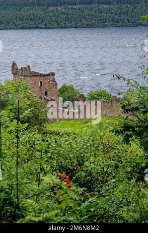 Atracción turística escocesa - Ruinas del castillo de Urquhart en la orilla occidental del lago Ness (sitio de muchos avistamientos de Nessie) - Drumnadrochit, Highland Foto de stock