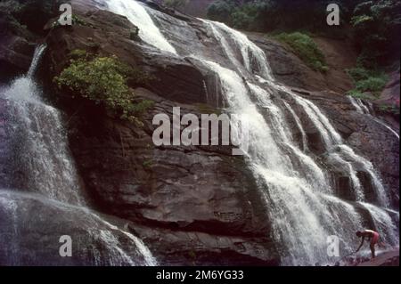 Coutrallam Falls se encuentra en el distrito de Tenkasi en el estado de Tamil Nadu, en el sur de la India, en la frontera con el distrito de Kollam, Kerala. Las cataratas se encuentran en los Ghats occidentales en el río Chittar y se considera un 'spa médico' debido al olor médico en las aguas. Se encuentra a 5 km de la ciudad más cercana Tenkasi. Foto de stock