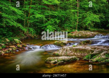 Un hermoso arroyo serpentea a través de un bosque de Smoky Mountain. Tiempo de exposición. Foto de stock