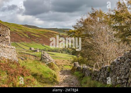 El sendero de larga distancia Pennine Way desciende hacia Thwaite en Swaledale después de que cayó el descenso de Great Shunner Foto de stock