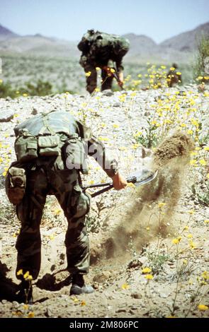 Infantes de marina de la Compañía Lima, Tercer Batallón, Sexto ...