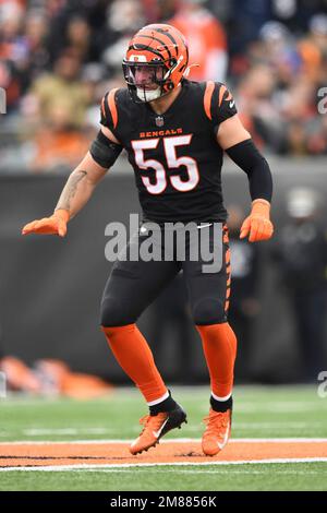 Cincinnati Bengals linebacker Logan Wilson (55) runs for the play during an  NFL wild-card football game against the Baltimore Ravens on Sunday, Jan.  15, 2023, in Cincinnati. (AP Photo/Emilee Chinn Stock Photo 