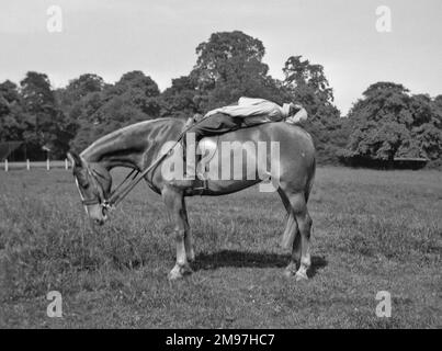 Mujer en un caballo en un campo, recostada con los pies fuera de los estribos. Foto de stock