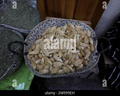 Palillos bereberes - las cabezas secas de las flores de hinojo (Ammi visnaga), utilizadas en Marruecos para la limpieza de dientes en fez medina Foto de stock