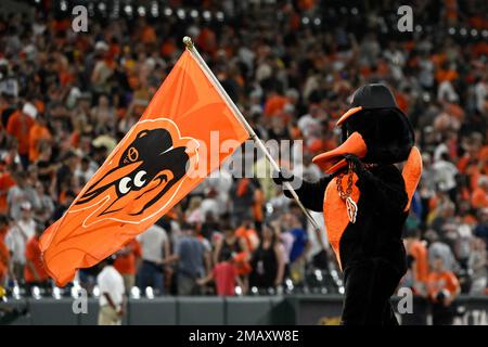 Pittsburgh Pirates mascot waves the pirate's flag, the Jolly Rogers  following the Pirates 7-0 win against the Houston Astros at PNC Park in  Pittsburgh on April 13, 2009. .(UPI Photo/Archie Carpenter Stock