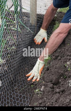 Malla conejo fotografías e imágenes de alta resolución - Página 2 - Alamy