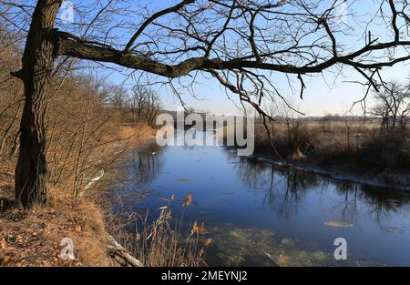Paisaje soleado con árbol sin hojas sobre el río fresco. Primera helada en el bosque. Cuéntalo en Ucrania Foto de stock