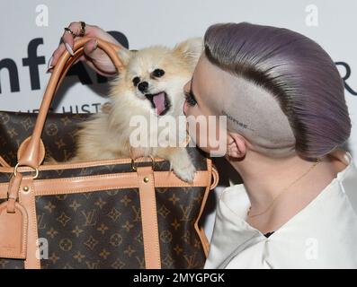 Kelly Osbourne y su bolsa Louis Vuitton