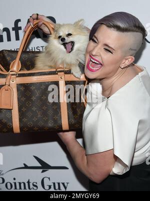 Naomi Campbell With dog and louis vuitton designer luggage at The  Dorchester Hotel London set of 6 Stock Photo - Alamy