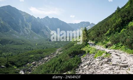 Stoney ruta de senderismo que conduce a través de hermoso valle alpino rodeado de grandes montañas, Polonia Foto de stock