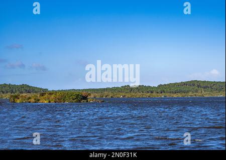 El lago Lac de Léon en el departamento Landes de Nouvelle-Aquitaine, Francia Foto de stock