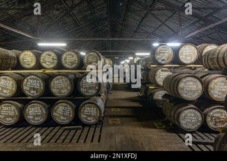 Almacén de destilería Springbank lleno de barricas de whisky maduras, Campbeltown, Argyll y Bute, Escocia, Reino Unido