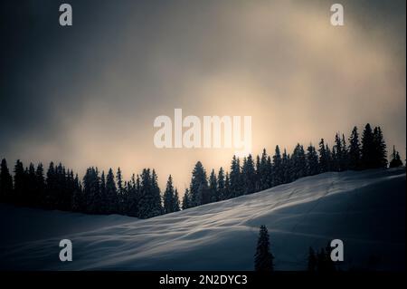 Bosque de montaña de invierno en la luz de fondo, Gunzesried, Oberallgaeu, Baviera, Alemania Foto de stock