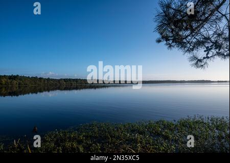 El lago costero Lac de Mimizan en las Landas de Nouvelle-Aquitaine, Francia Foto de stock