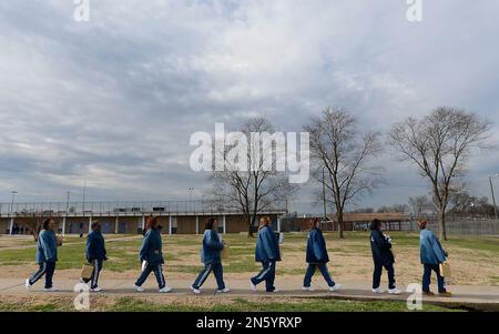 Faulous mujeres jóvenes graduados en elegantes trajes de noche posando  fuera en el parque Fotografía de stock - Alamy