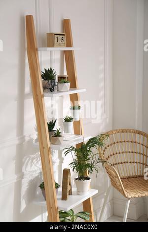 Elegante escalera decorativa con plantas de interior y silla en sala de luz  Fotografía de stock - Alamy