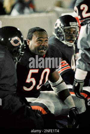 Chicago Bears linebacker Mike Singletary (50) is congratulated by teammate  Richard Dent (95) after Singletary made a third-quarter tackle against the  Pittsburgh Steelers in Chicago, Dec. 14, 1992. (AP Photo/Frank Polich Stock