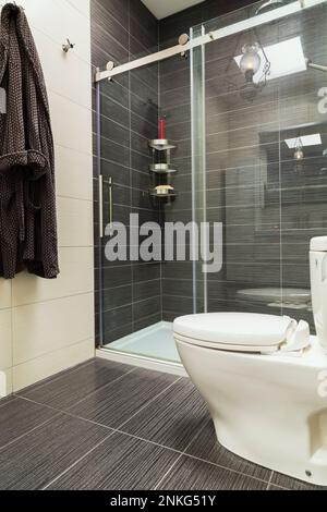 Japonés 'washlet' o super wc, que incluye el asiento, bidet, calentamiento  y secado de funciones Fotografía de stock - Alamy