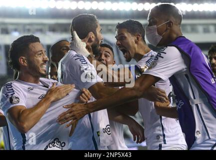 Brazil's Santos' players, from left, Mauricio Molina, Rodrigo Souto, Kleber  Pereira, Mariano Tripodi, Kleber, and Wesley, celebrate after scoring  against Colombia's Cucuta Deportivo during a Copa Libertadores soccer game  in Santos, Brazil