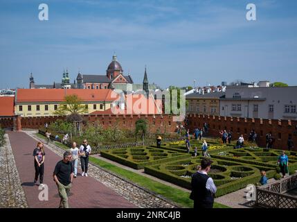 Turistas en el patio interior del castillo de Wawel en Cracovia, Polonia. Foto de stock