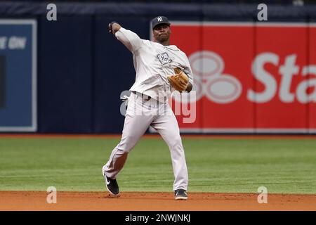ST. PETERSBURG, FL - SEPTEMBER 27: New York Yankees shortstop Didi Gregorius (18) takes ground balls before the regular season MLB game between the New York Yankees and Tampa Bay Rays on September 27, 2018 at Tropicana Field in St. Petersburg, FL. (Photo by Mark LoMoglio/Icon Sportswire) (Icon Sportswire via AP Images)