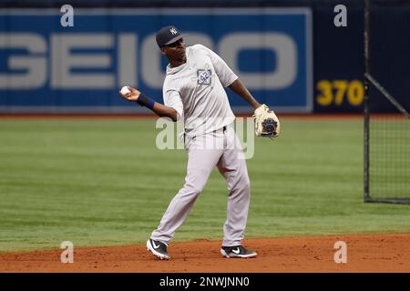 ST. PETERSBURG, FL - SEPTEMBER 27: New York Yankees shortstop Didi Gregorius (18) takes ground balls before the regular season MLB game between the New York Yankees and Tampa Bay Rays on September 27, 2018 at Tropicana Field in St. Petersburg, FL. (Photo by Mark LoMoglio/Icon Sportswire) (Icon Sportswire via AP Images)