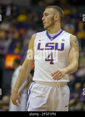 lsu head basketball coach