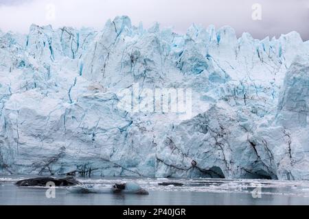 Una vista del glaciar Margerie en la cordillera de clima justo, Parque Nacional Glacier Bay, sureste de Alaska, EE.UU. Foto de stock