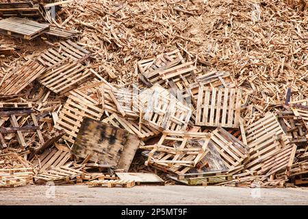 gran pila de palets de madera (skid) desechados Foto de stock