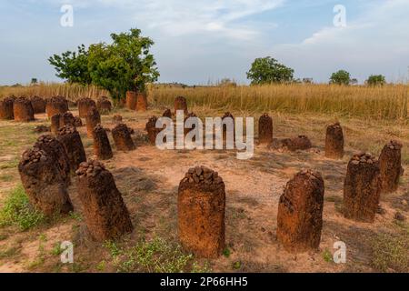 Círculos de piedra senegambianos, Patrimonio de la Humanidad de la UNESCO, Wassu, Gambia, África Occidental, África Foto de stock