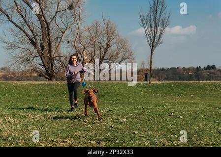 Mujer jugando Fetch con Vizsla perro en el parque Foto de stock