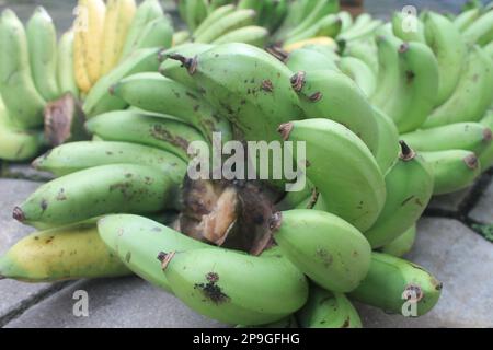 Los plátanos se colocan en una fila en el suelo Los plátanos se colocan en una fila en el suelo Foto de stock