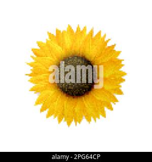 Píxel de girasol fotografías e imágenes de alta resolución - Alamy