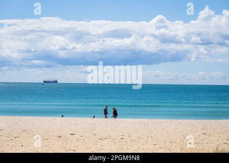Tauranga Nueva Zelanda - 22 2023 de marzo: Escena de fondo de la playa principal del monte Maunganui con el barco de carga en el horizonte distante Foto de stock