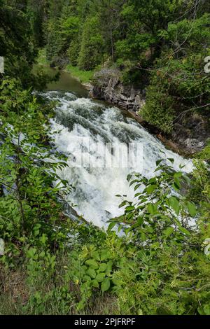 Bonnechere Falls, en el este de Ontario, visto desde arriba, enmarcado naturalmente. Foto de stock