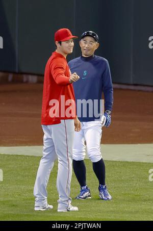 Seattle Mariners former baseball player Ichiro Suzuki, meets with the news  media, Friday, Aug. 26, 2022, in Seattle the day before his induction into  the Mariners' Hall of Fame. (AP Photo/John Froschauer