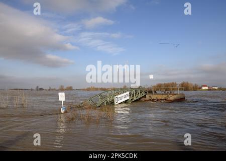 inundación de invierno medio... Muelle de ferry ( Xanten ), alta mar en el Rin, Renania del Norte-Westfalia, Alemania Foto de stock