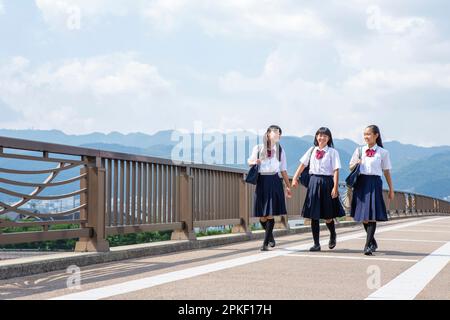 Estudiantes de secundaria caminando en una fila Foto de stock