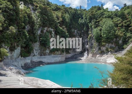 Lago del cráter Inferno, valle volcánico de Waimangu, isla norte, Nueva Zelanda Foto de stock