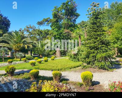 Un hermoso parque de jardín enorme con flores que crecen en macizos de flores redondas en medio de los senderos del jardín, contra un fondo de palmeras tropicales, bri Foto de stock