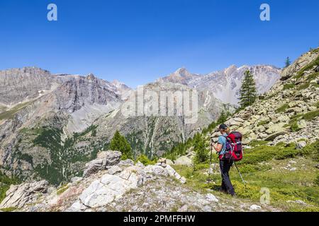 Francia, Alpes-de-Haute-Provence, Saint-Paul-sur-Ubaye, excursionista cuesta abajo al valle de Ubaye desde la cabaña de Chillol (2460 m) Foto de stock