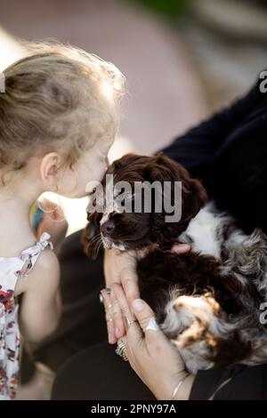 Dos años de edad besando cachorro en la cabeza en San Diego Foto de stock
