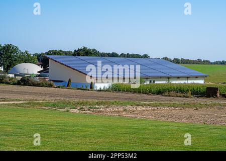 Energía verde con colectores solares en el tejado de un edificio agrícola Foto de stock
