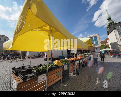 Zelny trh plaza del mercado de col en Brno Foto de stock