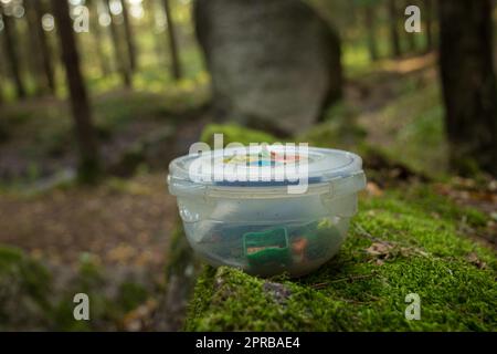 contenedor de geocaching en el bosque Foto de stock